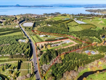 124 Kauri Point Road, Tahawai, Katikati