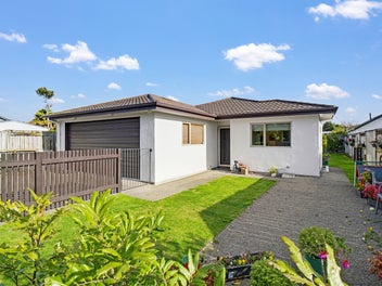 50 Fitzroy Street, Terrace End, Palmerston North