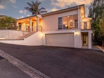 20A Alison Street, Hamilton Lake, Hamilton