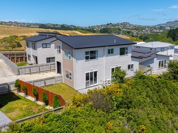 12 Trelawny Terrace, Grenada Village, Wellington