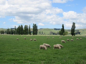 3389 State Highway 2, Waipukurau