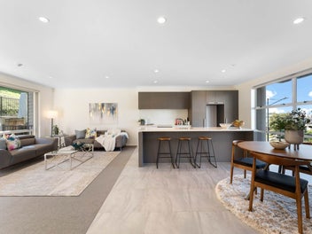 109 Barbarich Drive, Stonefields, Auckland