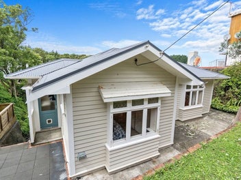 25 Mccoll Street, Vogeltown, Wellington