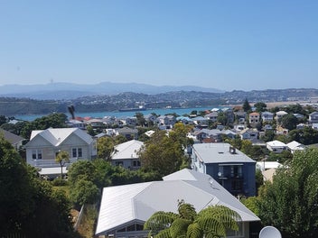 81 Rakau Rd, Hataitai, Wellington