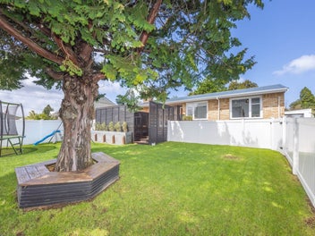 6 Ross View Terrace, Dinsdale, Hamilton