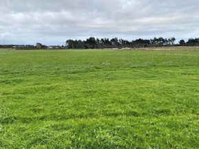 28 Dairy Way, Seaward Bush, Invercargill