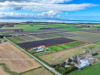 199 Harts Road, Leeston, Leeston