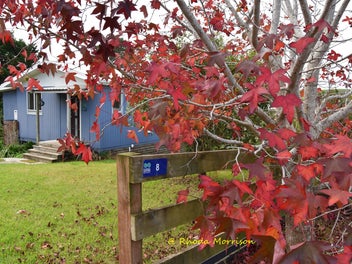 8 Heaths Way, Pahi, Paparoa