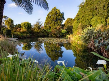 97B Runciman Road, Pukekohe East, Pukekohe