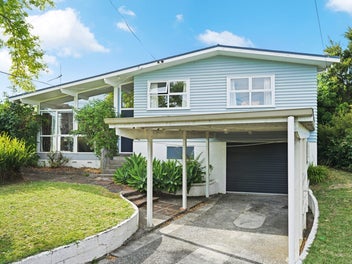 20 Patrick Place, Fitzroy, Hamilton