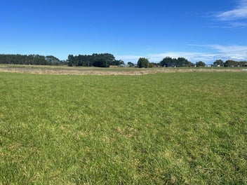 31 Mason Road, Seaward Bush, Invercargill