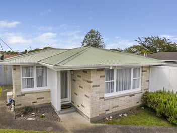 3 Alice Place, Levin, Levin
