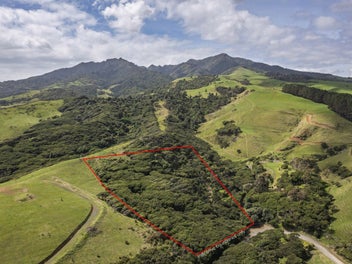 1615 Whaanga Road, Raglan