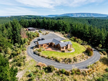 689 Big Stone Road, Kuri Bush, Dunedin
