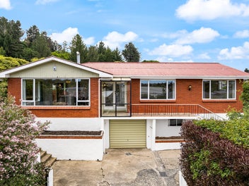 20 St Albans Street, Bradford, Dunedin