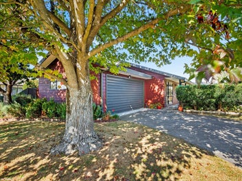 601 Beech Road, Akina, Hastings