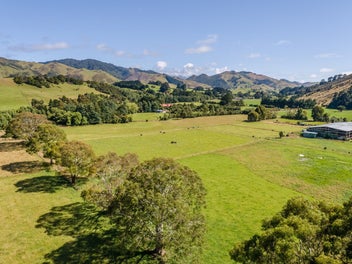 89 Hinau Gully Road, Carrington