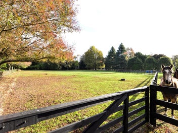 85A Windmill Road, Hamilton