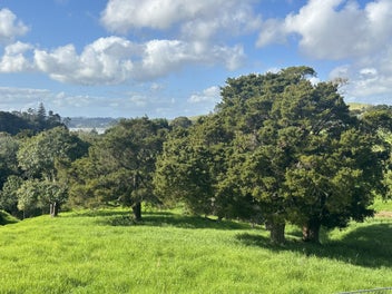 609 Pahi Road, Pahi, Paparoa