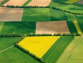 56A Needham Road, Drury