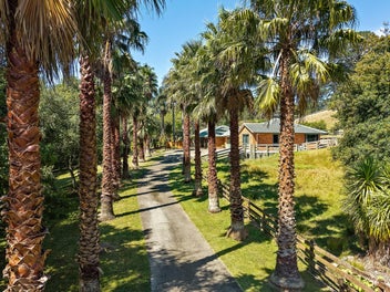 58 Haigh Access Road, Albany