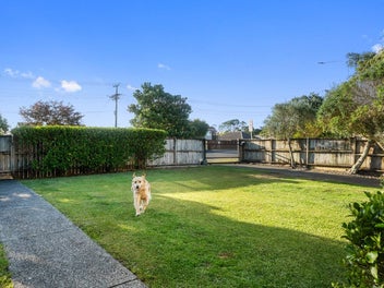 199 Forrest Hill Road, Forrest Hill, Auckland
