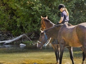 553B Ardgour Road, Tarras, Cromwell