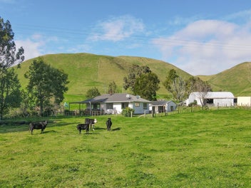 618 Te Weta Road, Rotorua