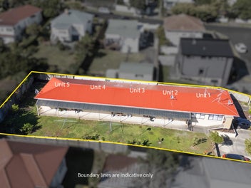 1 Derwent Street, Morningside, Auckland