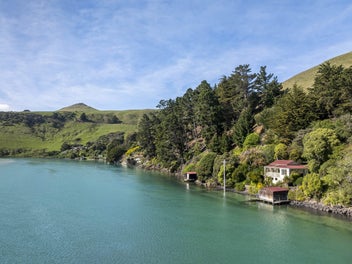 265 Cape Saunders Road, Cape Saunders, Dunedin