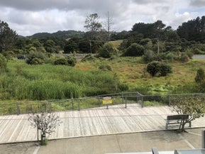 7F Factory Road, Waimauku, Waimauku