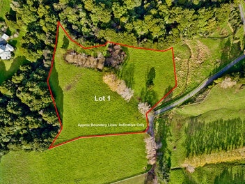 1149A Whangaripo Valley RD, Whangaripo, Whangaripo