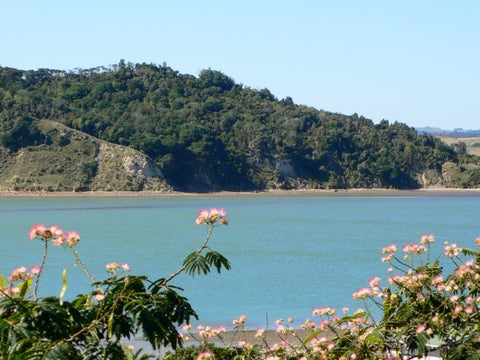 1 Daisy Street, Raglan, Raglan