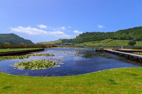 73 Acacia Road, Lake Okareka, Rotorua