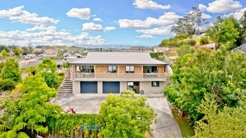 17 Newcastle Road, Dinsdale, Hamilton