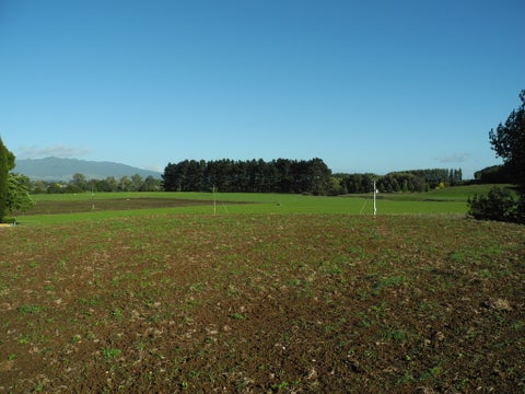 77 Day Road, Te Awamutu, Ohaupo