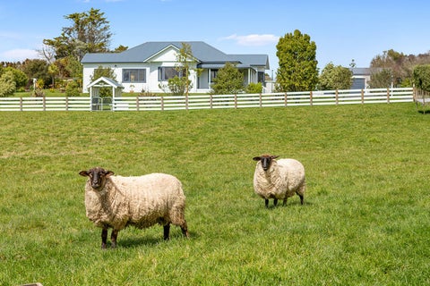 135C Travers Road, Te Kauwhata