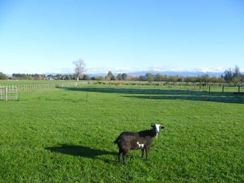 42A Watsons Road, Te Ore Ore, Masterton