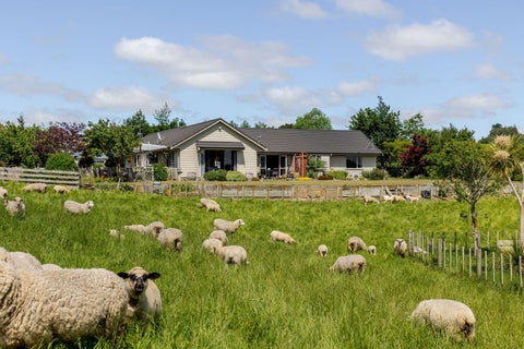 578 Sandon Road, Feilding, Feilding