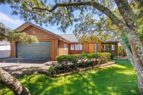 10 Wi Pere Street, Manakau, Levin