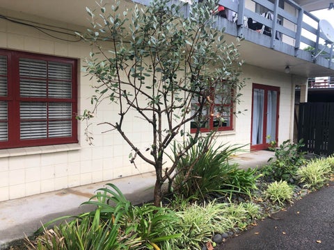 2/17 Sainsbury Road, Mount Albert, Auckland
