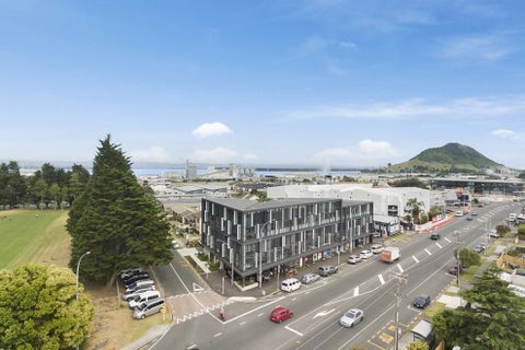 436 Maunganui Road, Mount Maunganui, Mount Maunganui