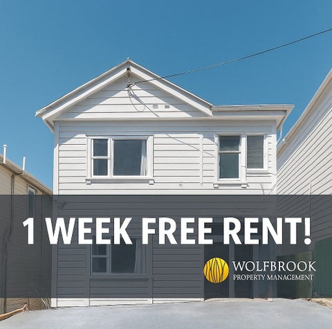 15A Hall Street, Newtown, Wellington