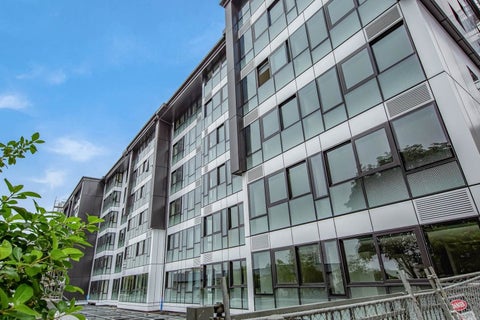 1G/16 Burton Street, Grafton, Auckland