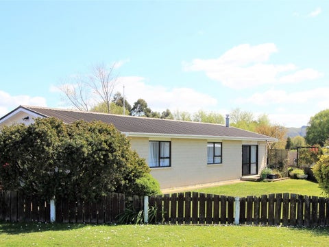 81 Fergusson Street, Woodville