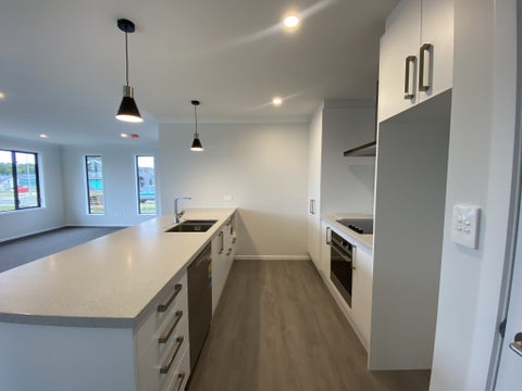 107 Hinemoa Street, Levin, Levin