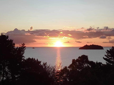1114 Colville Road, Amodeo Bay, Coromandel