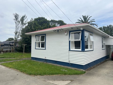 20 McKenzie Street, Levin, Levin