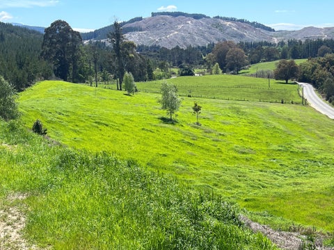 0 Waiwhero Road, Ngatimoti, Motueka