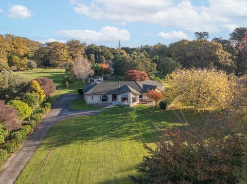 81B Horrell Road, Morrinsville, Morrinsville